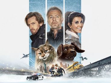 КОТ И ПЁС
