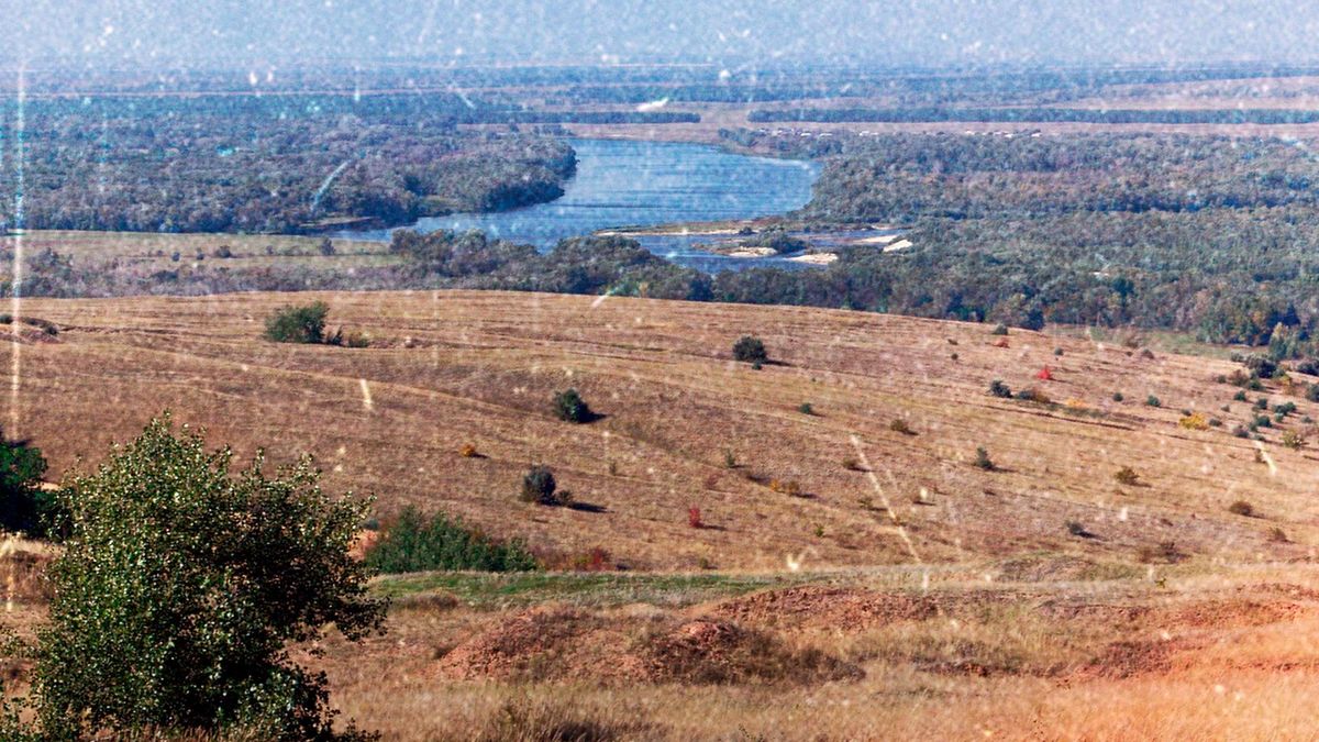 Сталинград. Мы еще живы или нет?