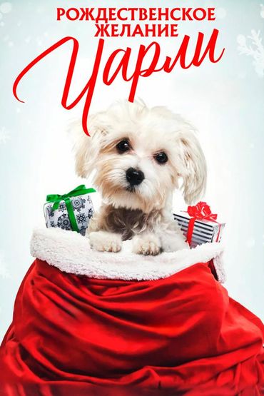 Рождественское желание Чарли