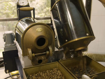 Выращивание кофе в Гондурасе