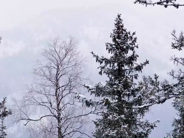 Гора Сундуки
