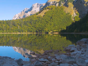 Утро на озере Утро на озере