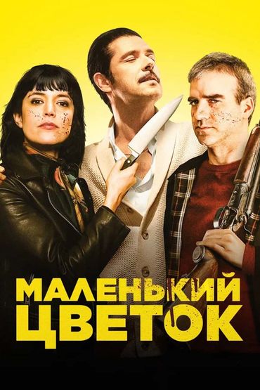 Маленький цветок Маленький цветок