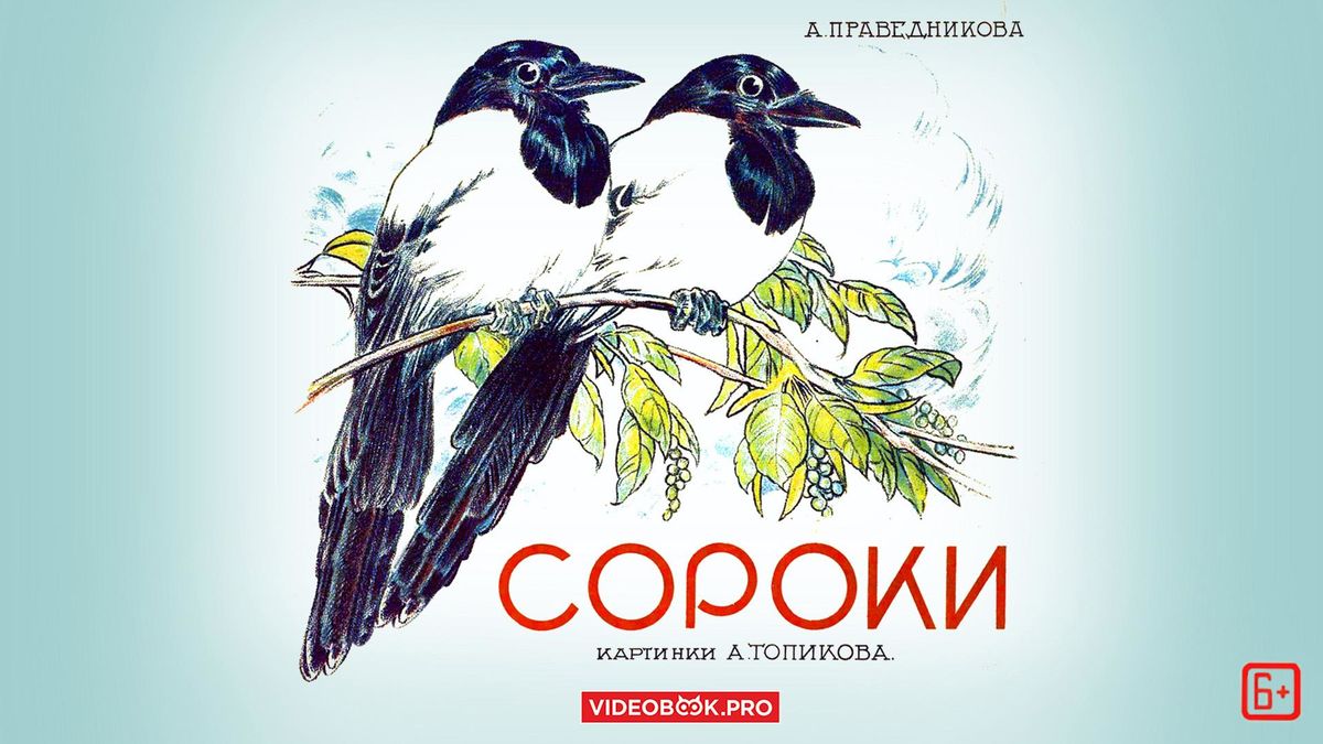 Сороки