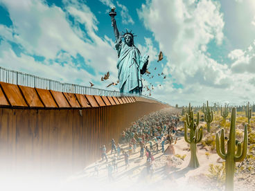 Перелётные птицы Америки