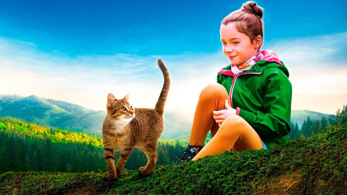 Мой котик и я