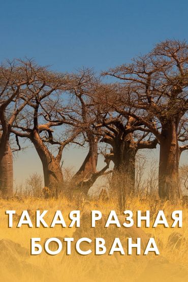 Такая разная Ботсвана