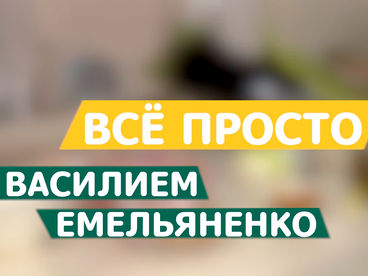 Всё просто с Василием Емельяненко