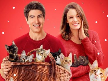 Девять рождественских котят