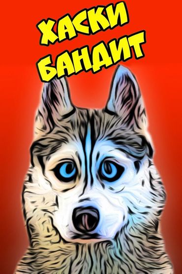 Хаски Бандит