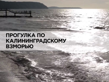Прогулка по Калининградскому взморью Прогулка по Калининградскому взморью