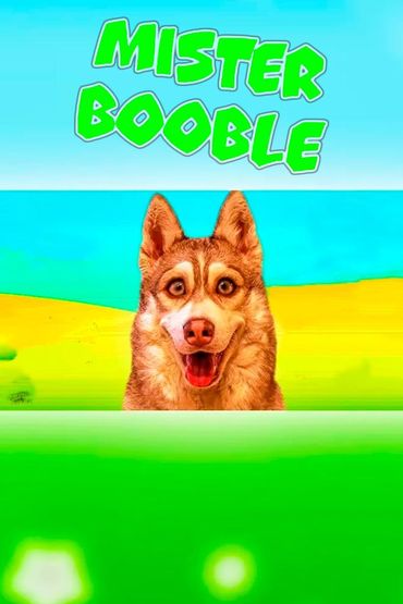 Mister Booble