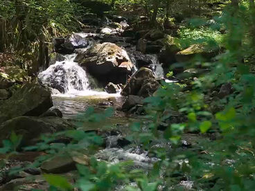 Река Самоковска Сербия