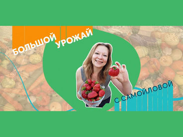 Большой урожай