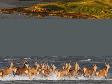 Шотландия. В поисках первозданного Шотландия. В поисках первозданного