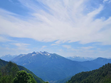 Кондуки - Наталья Меморская Кондуки - Наталья Меморская