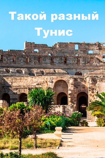 Такой разный Тунис
