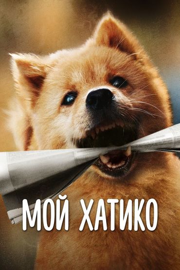 Мой Хатико