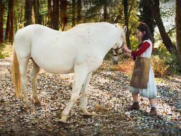 Italian Best Shorts 5: Жизнь как чудо