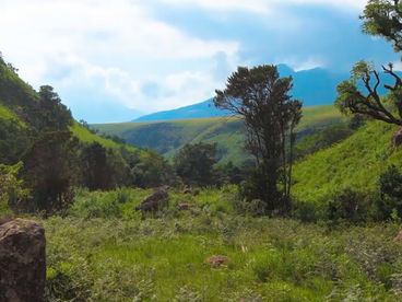 Река Махаи Река Махаи