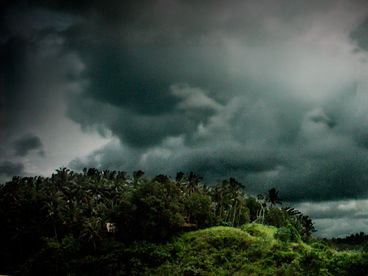 Самые опасные животные