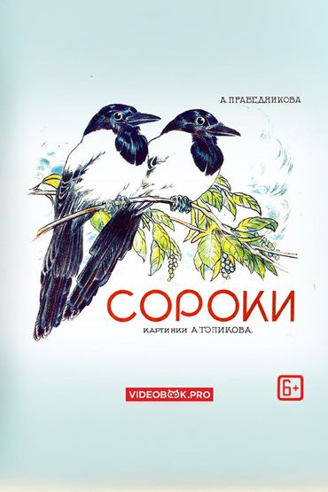 Сороки Сороки