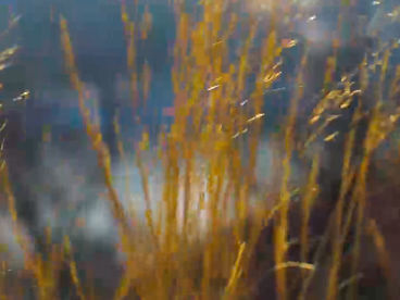 Гора Куштау Гора Куштау