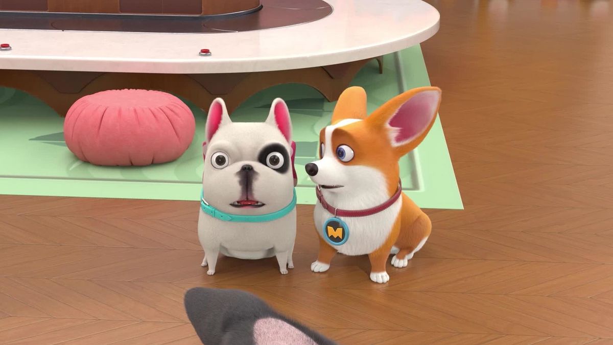 Шерсть Оскара