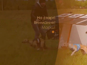 На старт! Внимание! Марш!