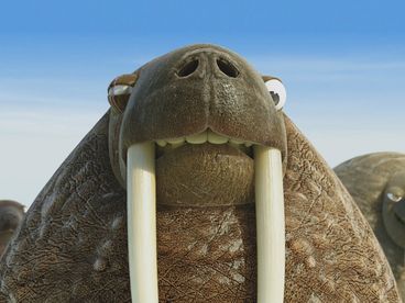 Отряд джунглей в ледяной дали Отряд джунглей в ледяной дали