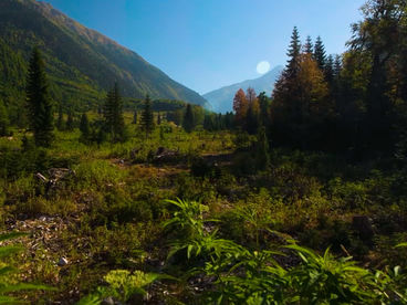 Урочище Мемули Урочище Мемули