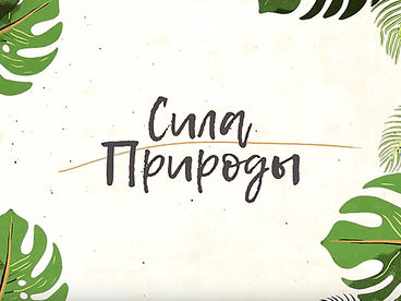 Сила природы Сила природы