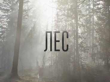 Лес Лес