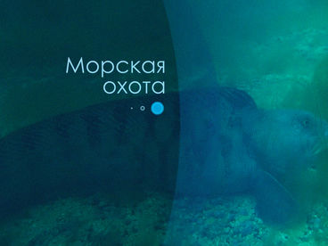 Морская охота Морская охота