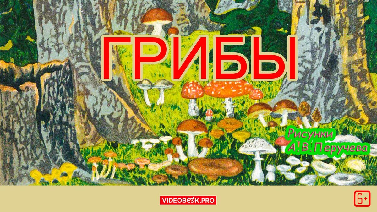 Грибы