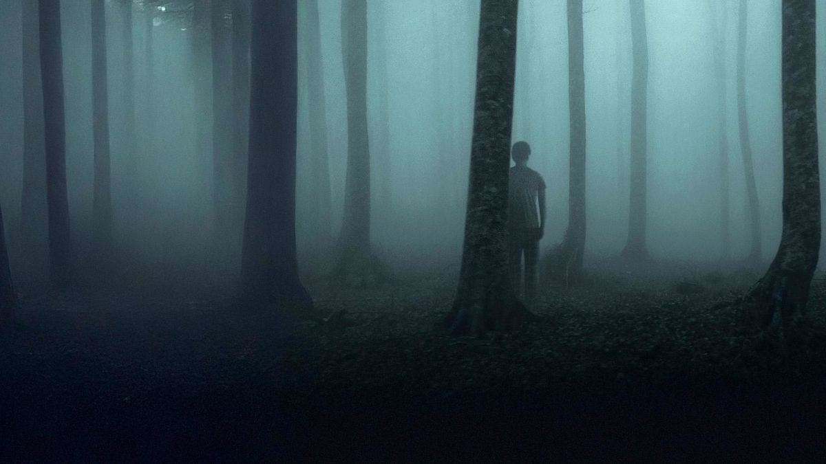 Неспокойной ночи