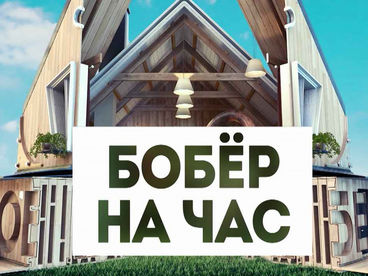 Бобёр на час