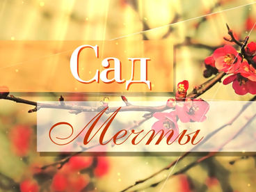 Сад мечты