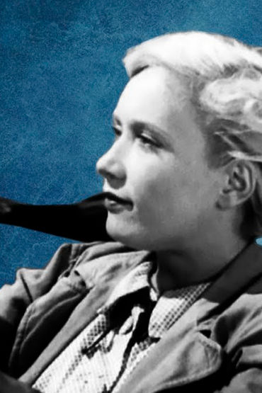 Шуми, городок Шуми, городок