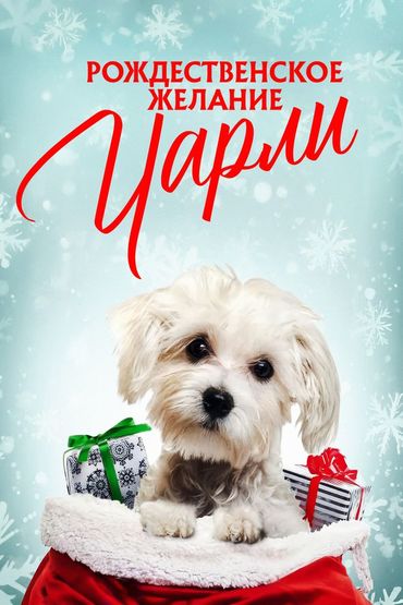 Рождественское желание Чарли