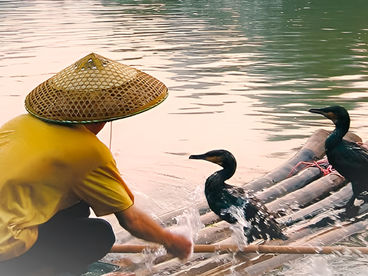 Дикий Китай Дикий Китай