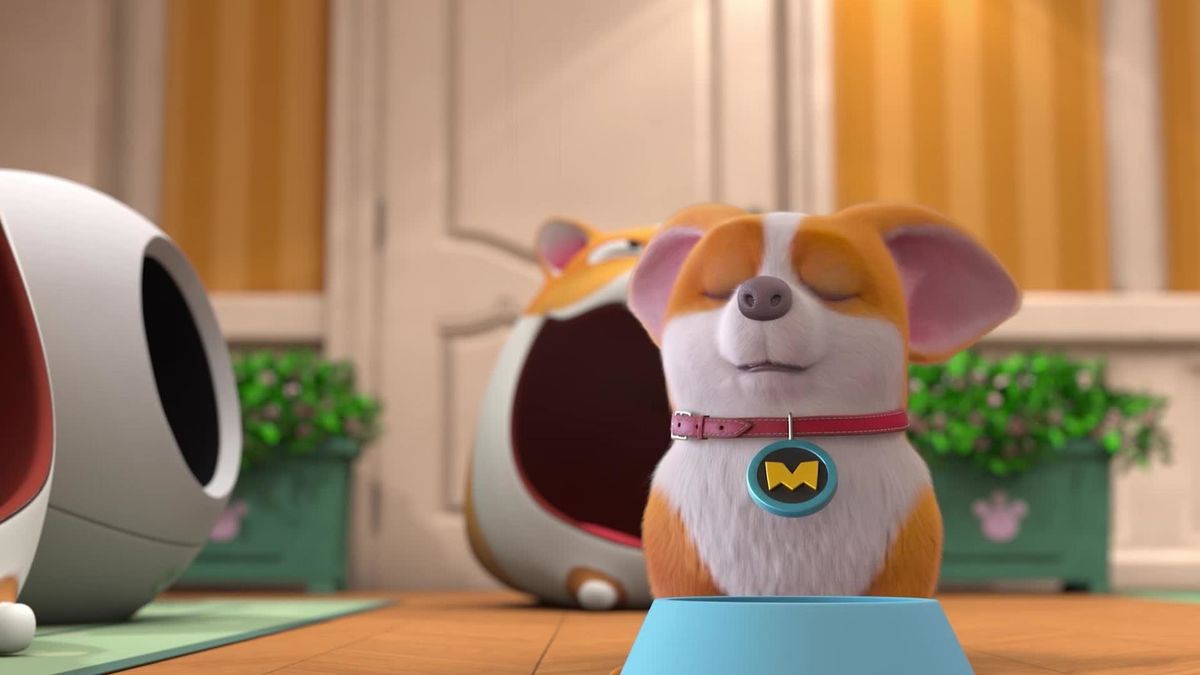 Вопрос о Питайе