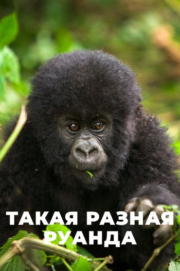 Такая разная Руанда