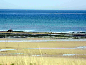 Перламутровый берег Нормандии Перламутровый берег Нормандии
