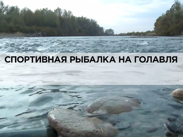 Спортивная рыбалка на голавля Спортивная рыбалка на голавля