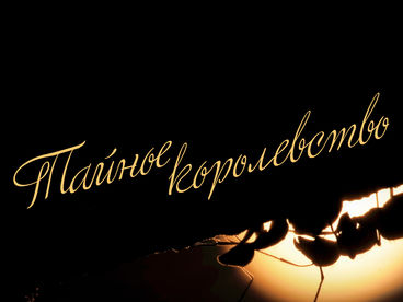 Тайное королевство Тайное королевство