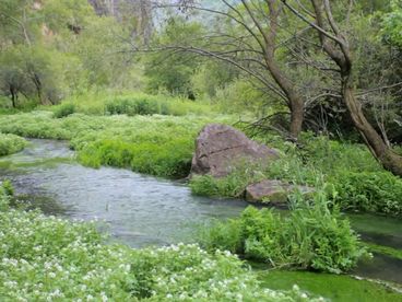 Река Воротан Река Воротан