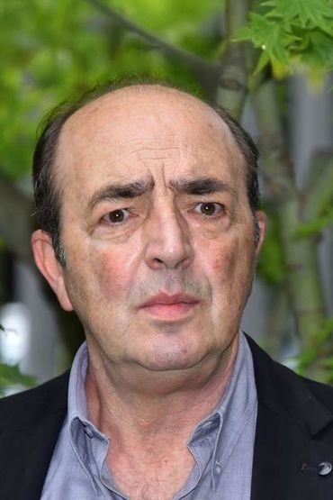 Джино Нарделла