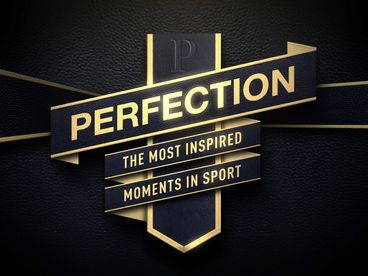 Perfection Perfection