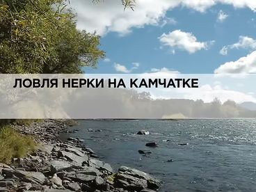 Ловля нерки на Камчатке